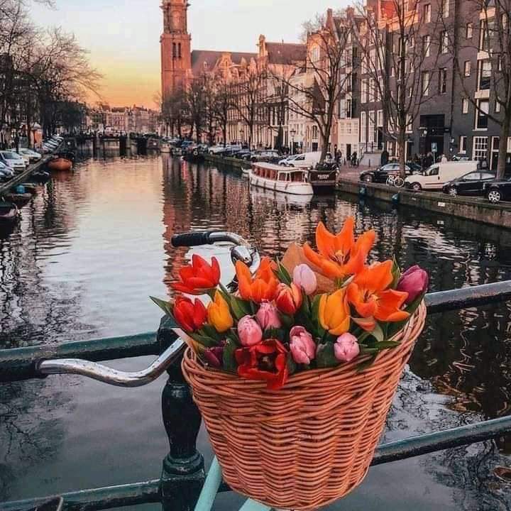 Destination Image