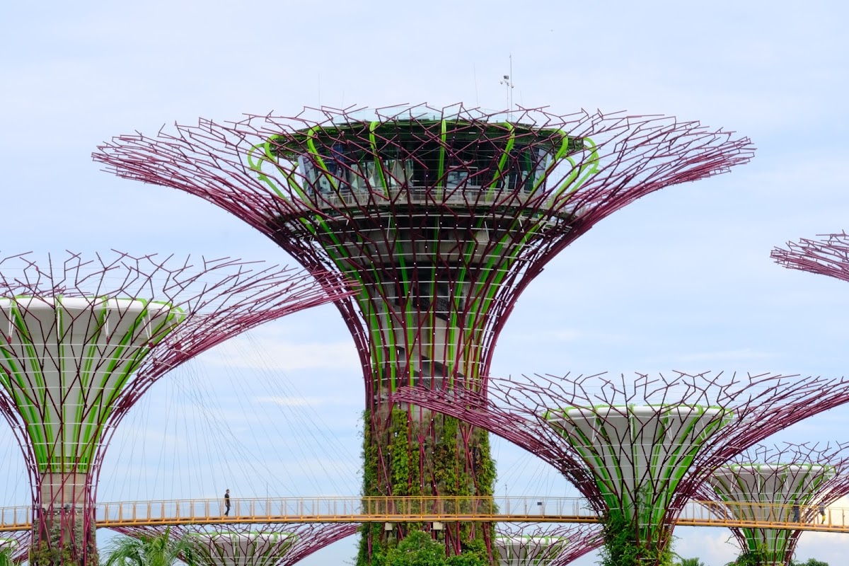 Gardens by the Bay, Singapore
