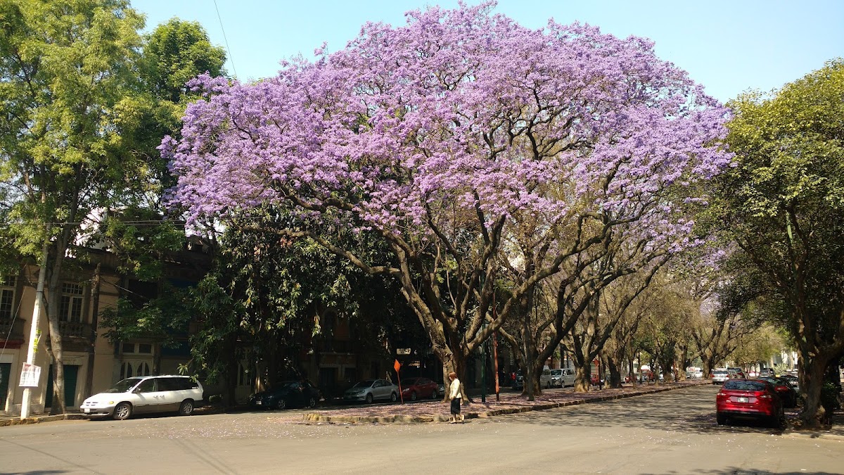 Mexico City, Mexico